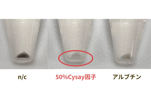 図：驚異の美白効果