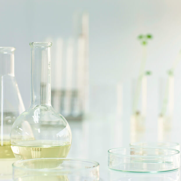 写真：リブスピキュール™が生む「修復の導線」250万本のリブスピキュール™